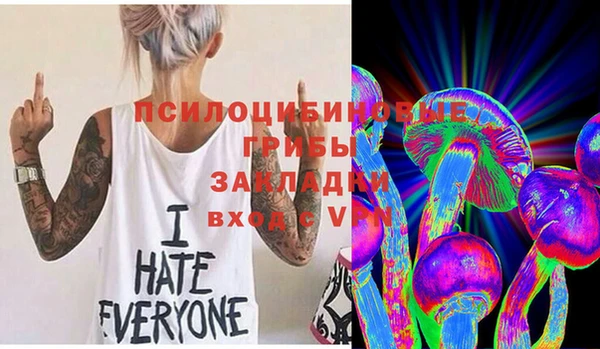 хмурый Бронницы