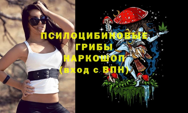 соль курить ск Богородск
