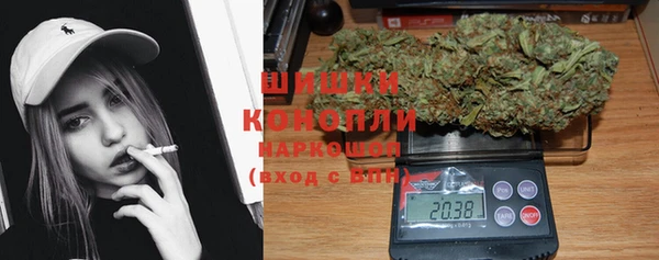 ешки Бородино