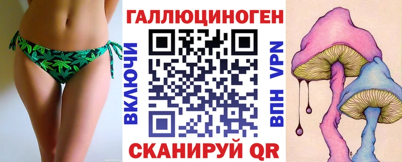 где найти   Новосиль  Псилоцибиновые грибы MAGIC MUSHROOMS 